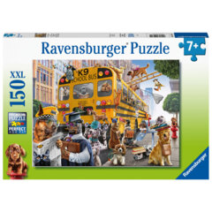Pet School Pals 150pc
